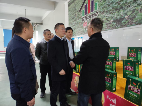 市委常委、組織部部長、統(tǒng)戰(zhàn)部部長龔紅果蒞臨天香生物調(diào)研