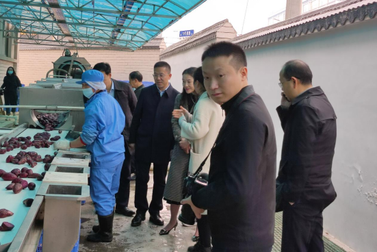 市委常委、組織部部長、統(tǒng)戰(zhàn)部部長龔紅果蒞臨天香生物調(diào)研