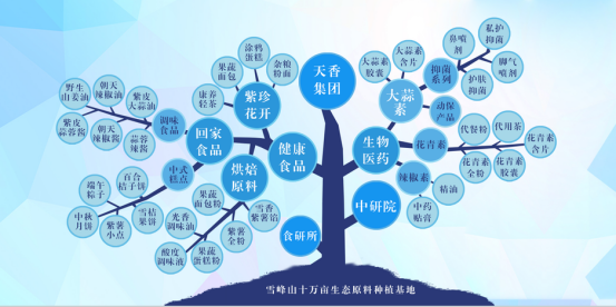 市委常委、組織部部長、統(tǒng)戰(zhàn)部部長龔紅果蒞臨天香生物調(diào)研