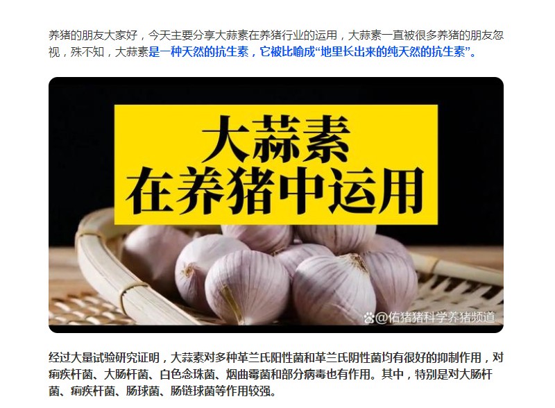 大蒜素在養(yǎng)豬行業(yè)的運用，您了解多少？
